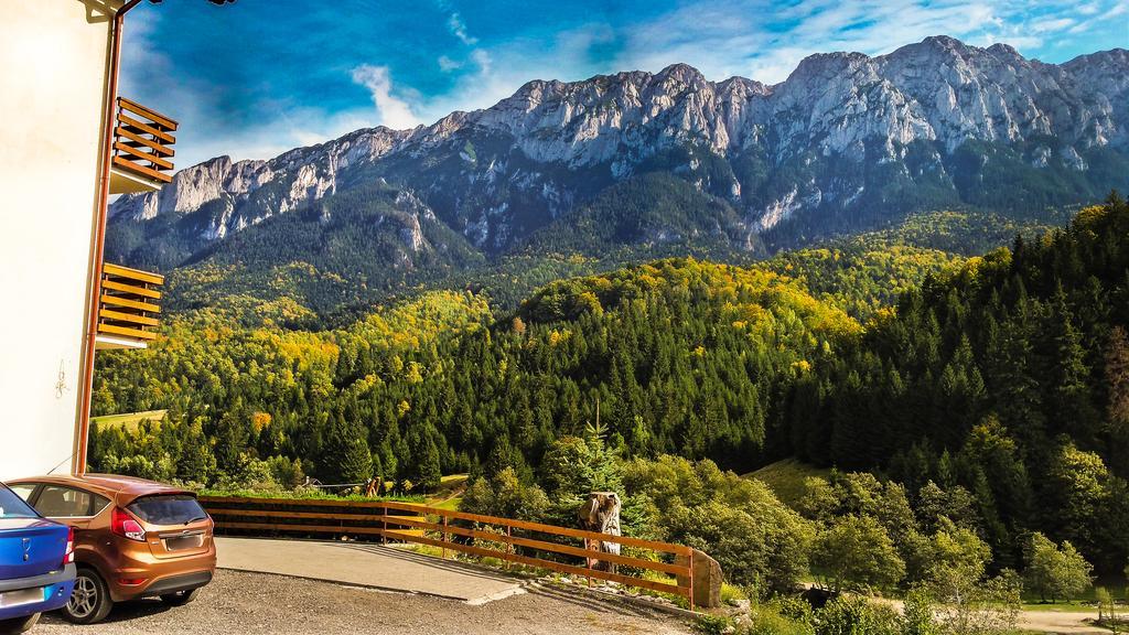 Panorama Pietrei Craiului Hotel Zărneşti Kültér fotó